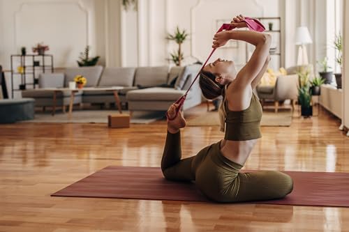 Everyday Yoga Strap with Metal D-Ring - Durable Stretching Strap for Yoga, Pilates, Flexibility & Physical Therapy (6ft, 8ft, 10ft) - color: Plum, size: 10 Foot