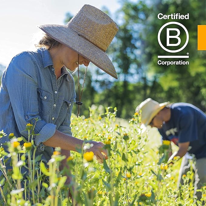 Herb Pharm Certified Organic Celery Seed Liquid Extract for Urinary System Support - 4 Ounce