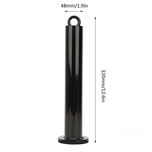 HERCHR Weight pins for Weight Stack Machine, Loading pin for Weight Plates Fitness Equipment Accessory Barbell Support for Cable Pulley System (48 Diameter * 320 mm) - size: 48 diameter * 320 mm