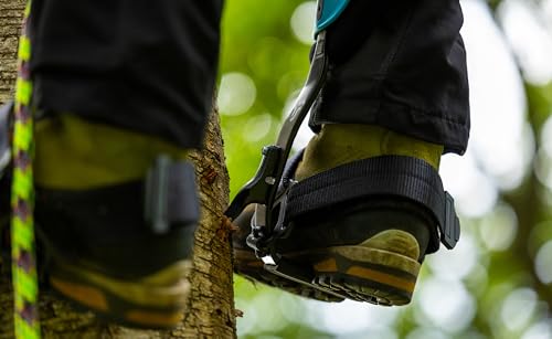 Notch Steel Climbers Ergonomic Gaffs 20+ Cuff Adjustment Points - size: Long (Tree Gaffs)