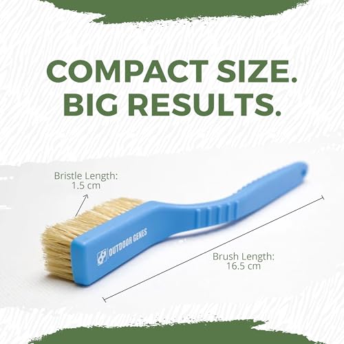 Rock Climbing Brush, 2-Pack Boar Hair Hold Cleaning Brushes | Natural Boar Hair Bristles, Ergonomic Handle, Indoor & Outdoor Holds, Compact Travel Size, Green & Blue Set