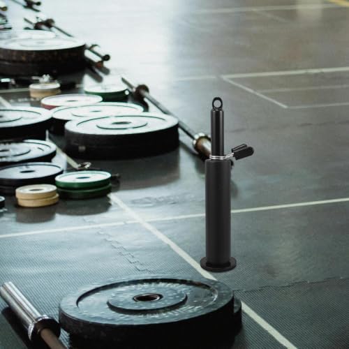 Totority Weight Loading Pin with Iron Construction, Multi-Functional Use for Fitness Pulley Cable Machine Attachment to Strength Training, for Shoulder and Back Training