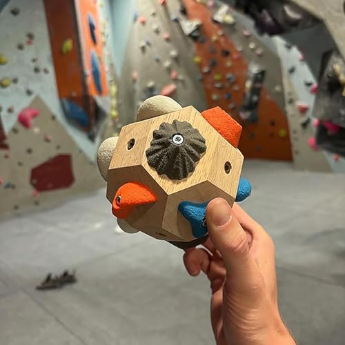 Handcrafted Climbing Balls That Improve Strength and Accuracy, a Finger Training Tool for Climbers