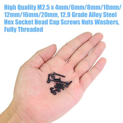 DYWISHKEY 566 Pieces M2.5 Black Screws, 12.9 Grade Alloy Steel M2.5X 4/6 /8/10 /12/16 /20mm Hex Socket Head Cap Screws Bolts Nuts Washers Assortment Kit - size: M2.5, style: Socket Head