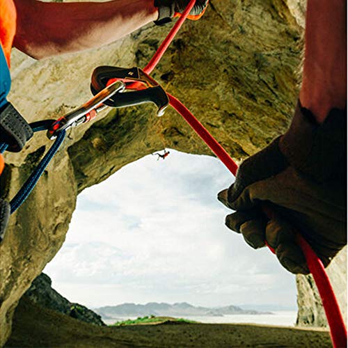 BLACK DIAMOND ATC Belay Rappel Device, Aluminum Rock Climbing, Canyoneering - color: ATC-Pilot Belay Device