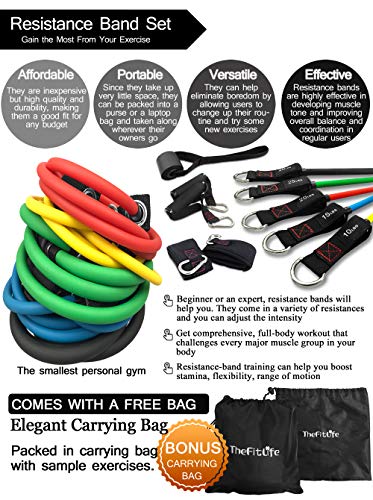 Resistance Bands with Handle Set - for Men and Women, Workout Bands for Strength Exercise, with Handles, Door Anchor & Ankle Straps, for Rehab, Yoga and Fitness