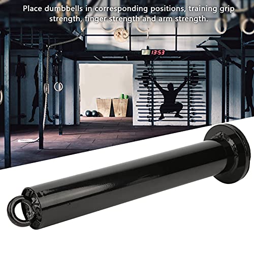 HERCHR Weight pins for Weight Stack Machine, Loading pin for Weight Plates Fitness Equipment Accessory Barbell Support for Cable Pulley System (48 Diameter * 320 mm) - size: 48 diameter * 320 mm