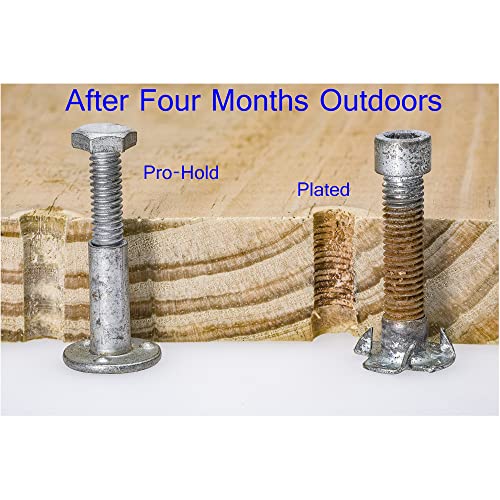 22 Assorted Deluxe Rock Climbing Holds for Kids - Outdoor Climbing Stones Kit with 44 Swing Safe Fasteners + Drill Bit Easy to Install on Lumber from 3/4" to 1.25" Thick - style: 22 Rocks