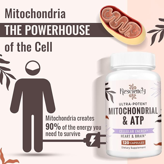 2326 MG Mitochondrial Supplements with ATP, Vitamins, CoQ10 & PQQ, More Effective Than Creatine HMB & Nitric Oxide, Energy, Endurance, Strength, Recovery & Muscle, Organic, 120 Capsules
