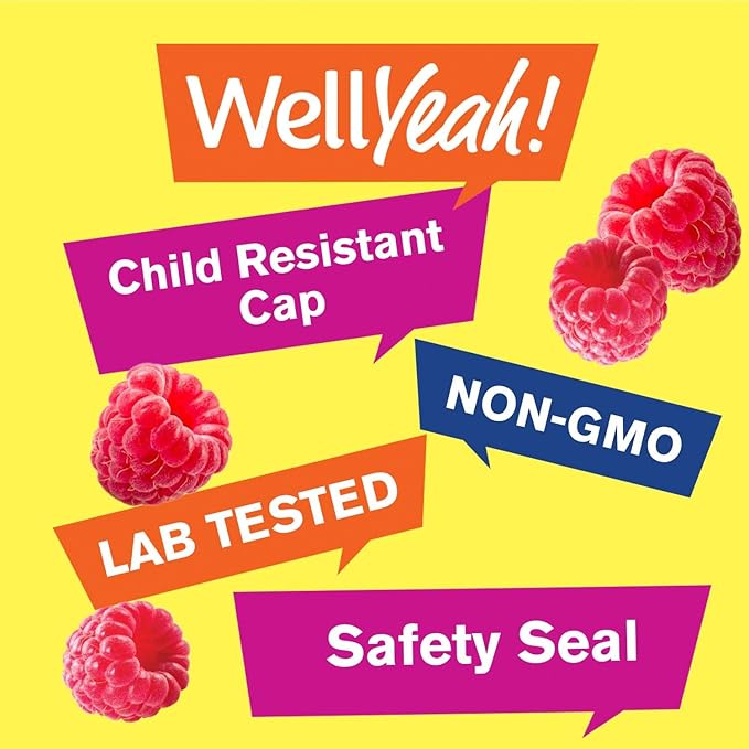 Calcium, Magnesium, Zinc + Vitamin D3 Gummies by WellYeah | Bone, Muscle and Nerve Health Support, Immune Support | for Men and Women | Gluten Free, Non GMO | Raspberry Flavor | 90 Count