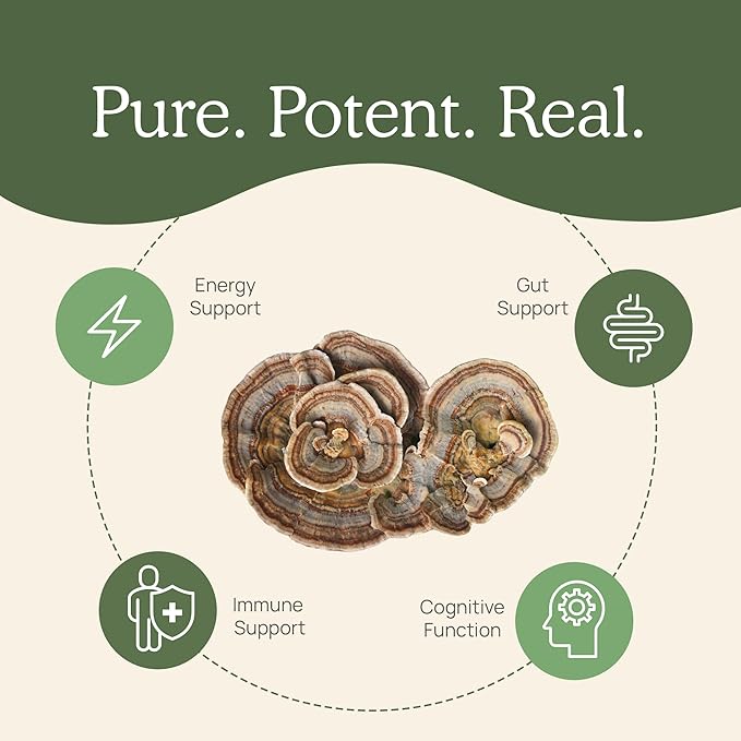 Real Mushrooms Turkey Tail Powder - Organic Mushroom Supplement with Potent Extract for Gut, Energy, Brain, Immune Support Vegan Powder, Non-GMO, 100 Servings