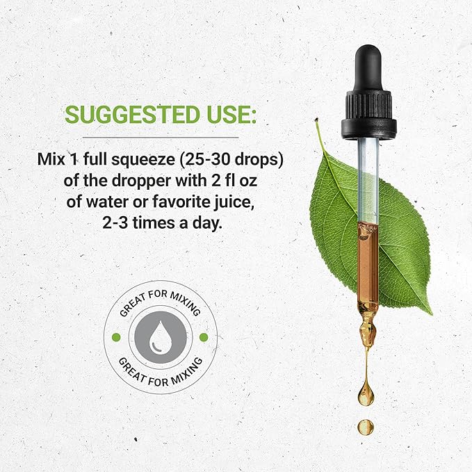 Secrets of the Tribe Elecampane Alcohol-Free Liquid Extract, Elecampane (Inula Helenium) Dried Root Tincture Supplement (4 FL OZ)