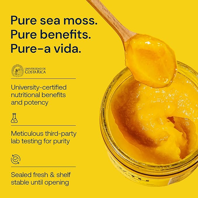 GO/TU Sea Moss Gel – 16oz Turmeric | Pure, Shelf-Stable Superfood | Nature’s Multivitamin